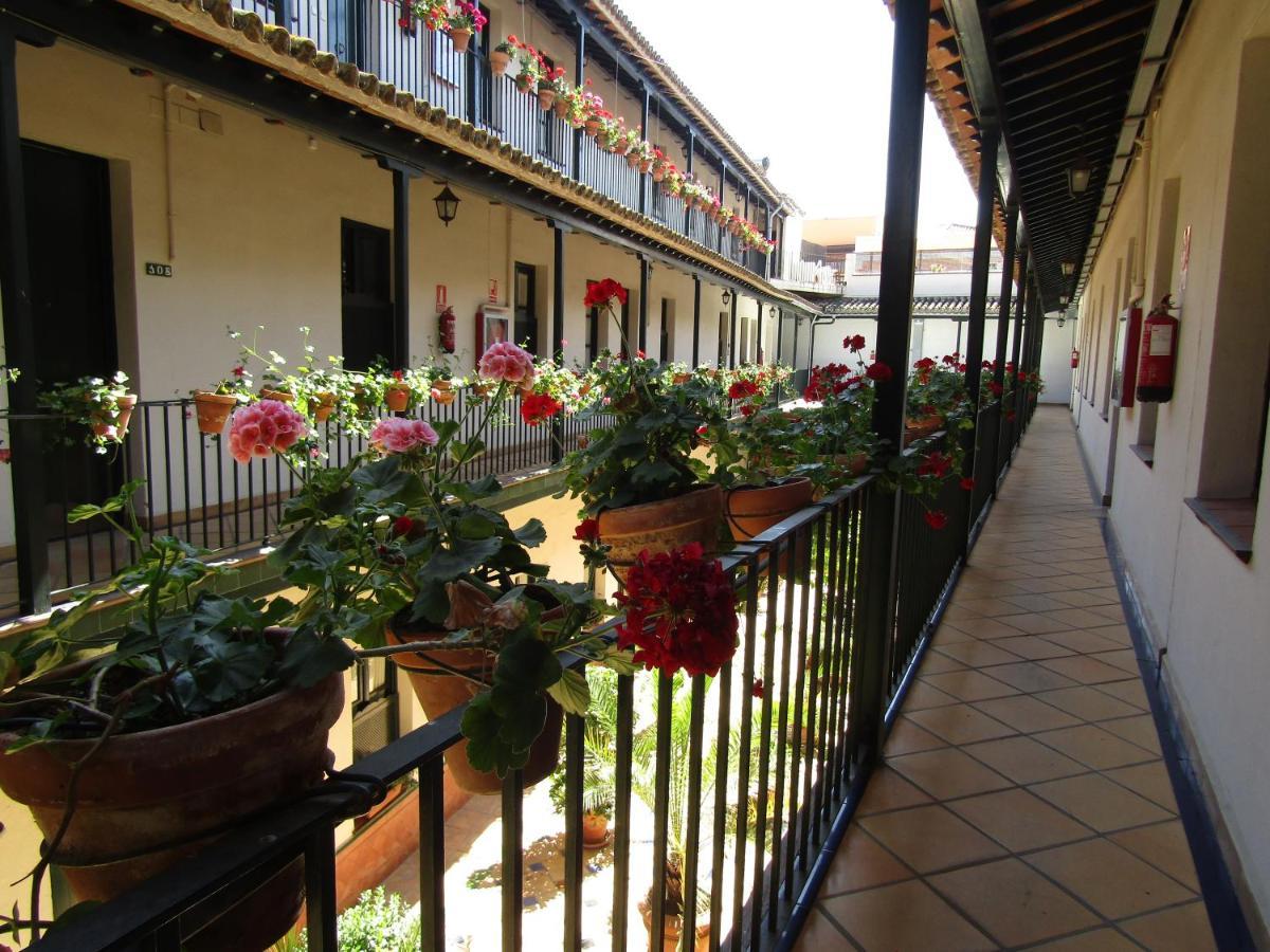 セビリアApartamento Alamedaアパートメント エクステリア 写真